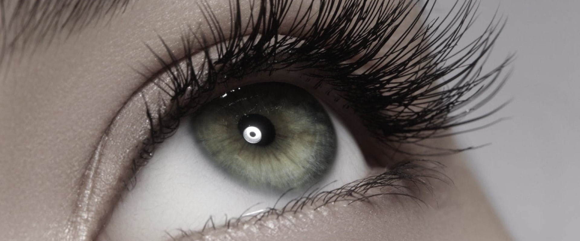 What is the Average Cost of Eyelash Extensions Services in Washington DC?