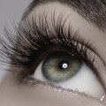 What is the Average Cost of Eyelash Extensions Services in Washington DC?
